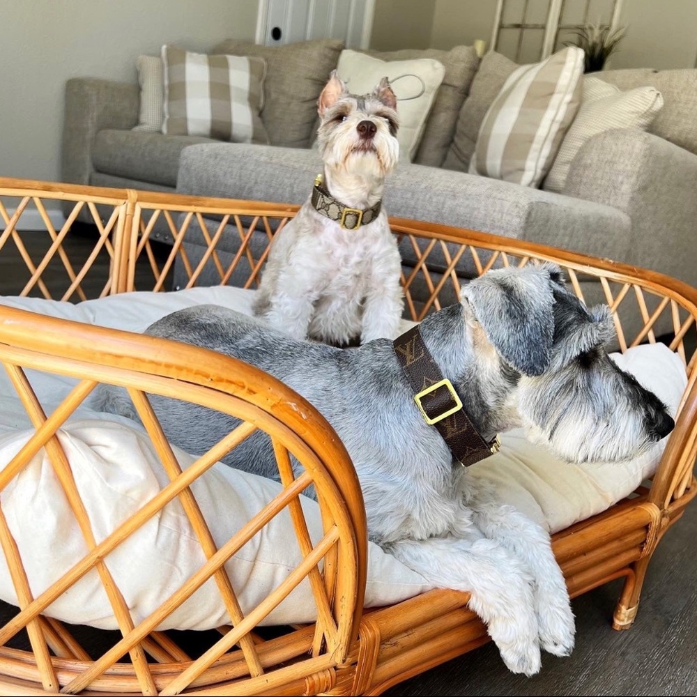 Louis Vuitton Repurposed Dog Collar